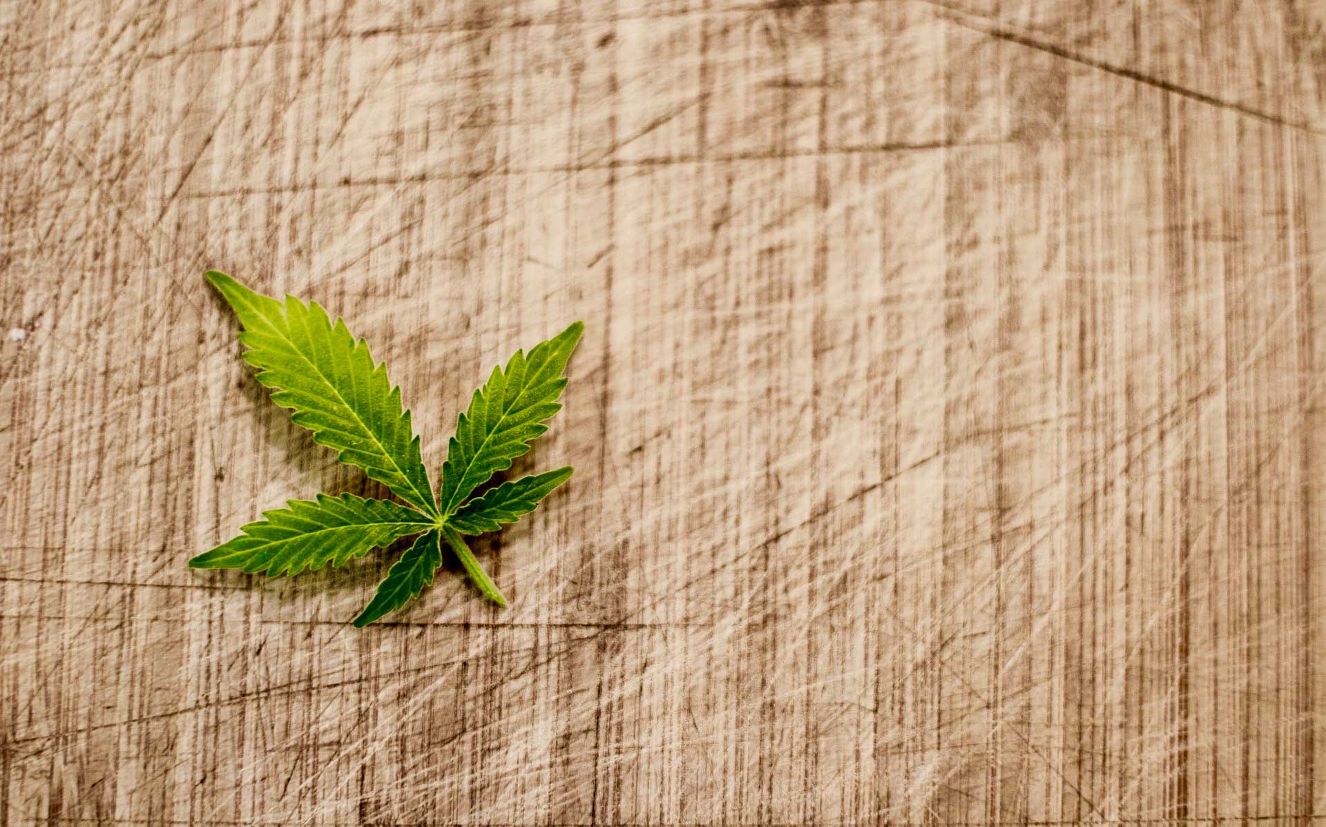 How does your hemp grow?