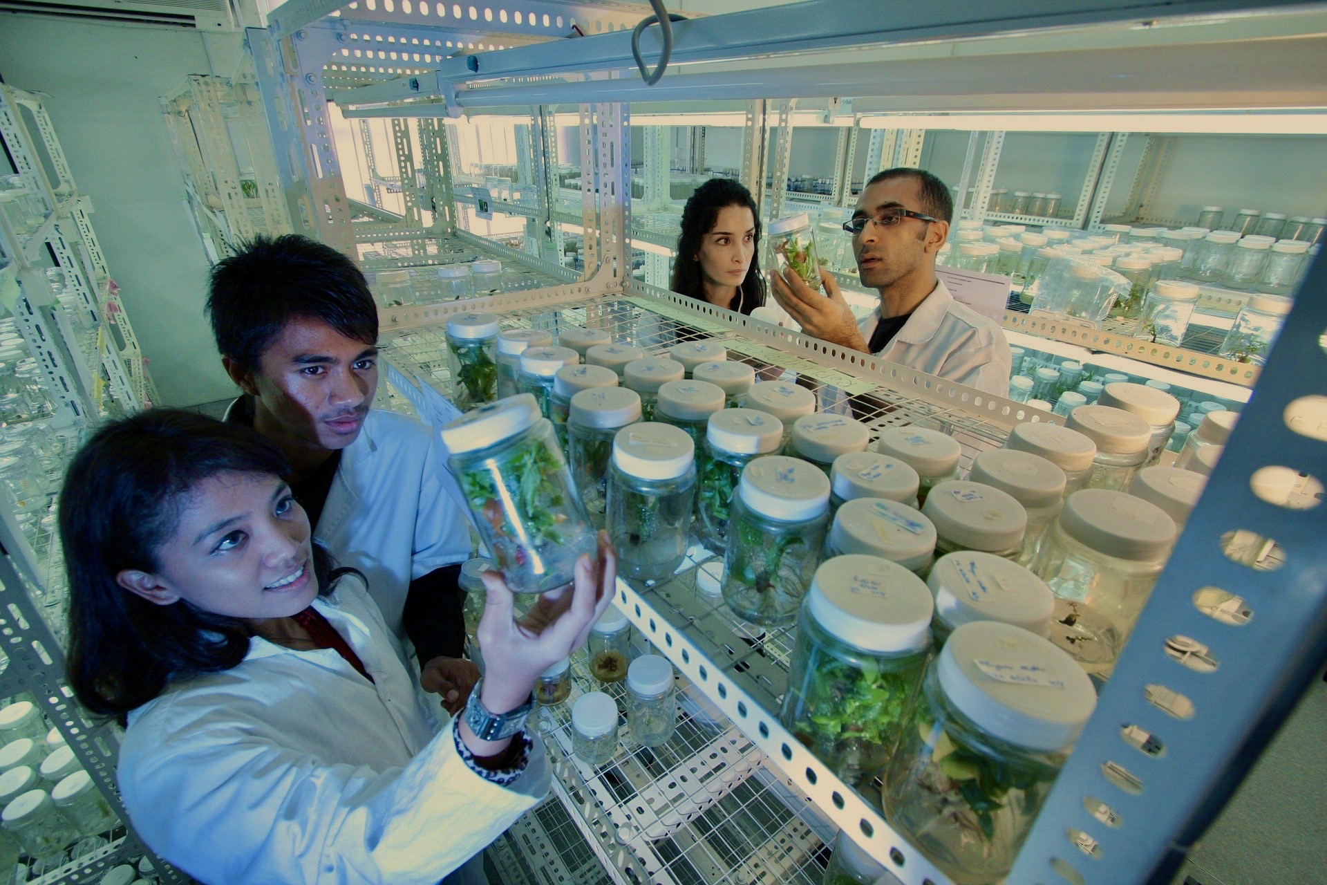 Introduction to CBD Research in the U.S. and Canada