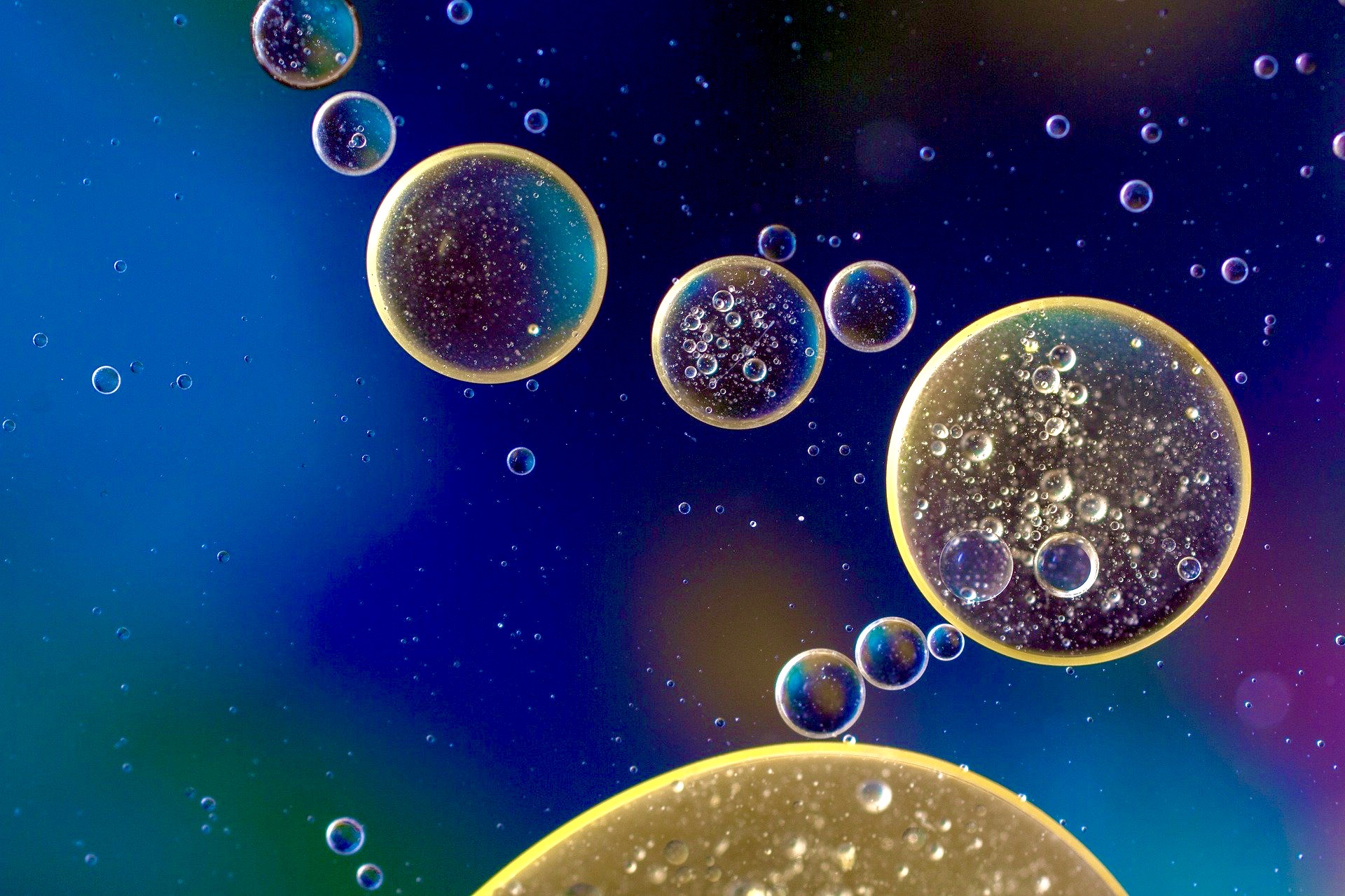 The Bioavailability of CBD