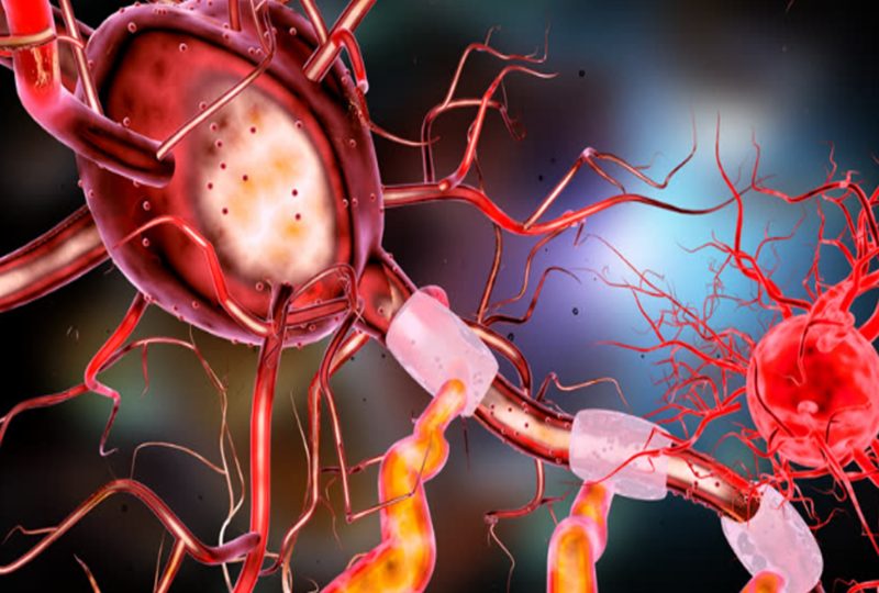 The Therapeutic Benefits of the Endocannabinoid System