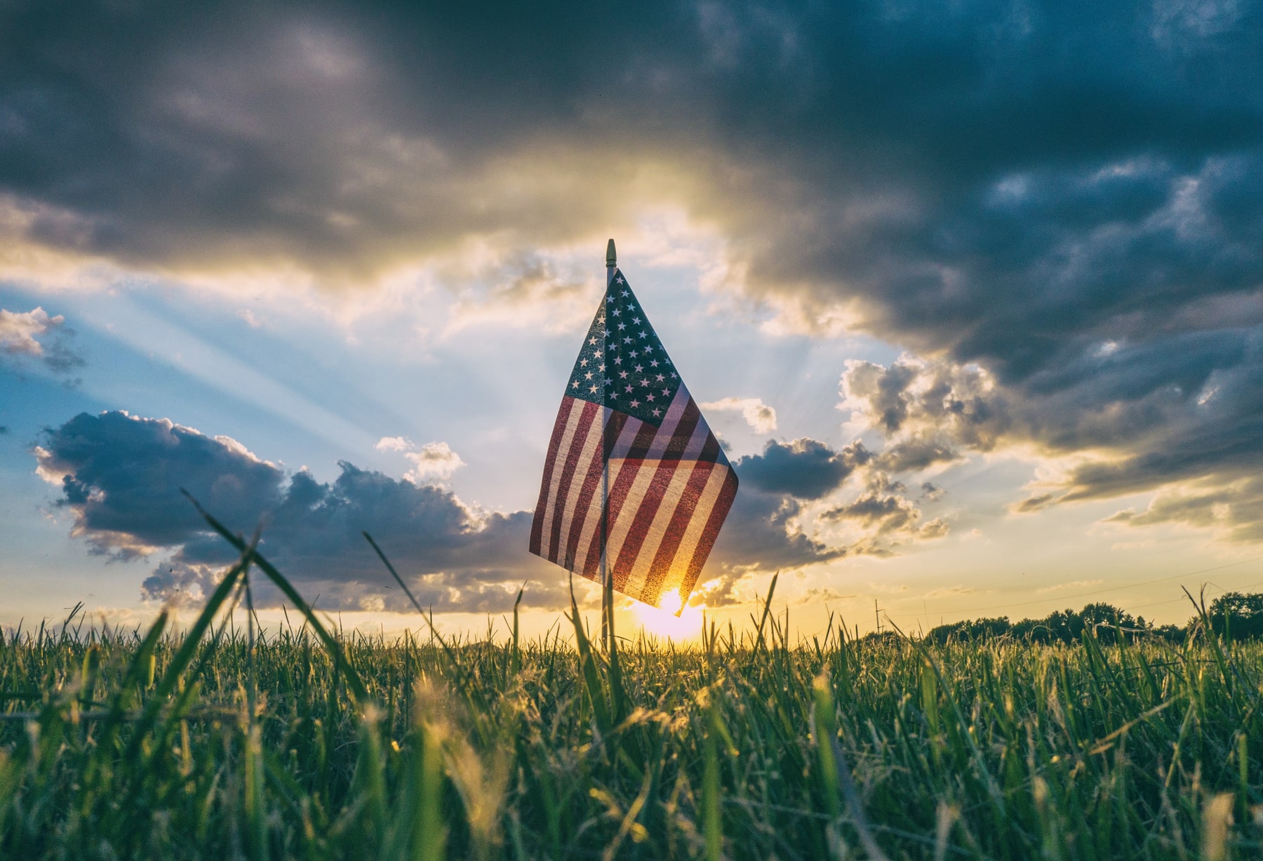 U.S. Cannabis Regulations and Effects on Hemp Growers in 2021
