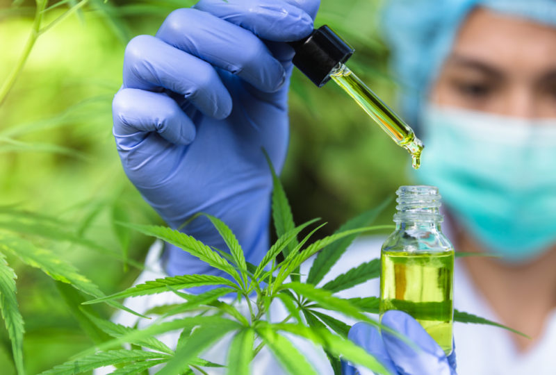 Current Clinical Trials for CBD