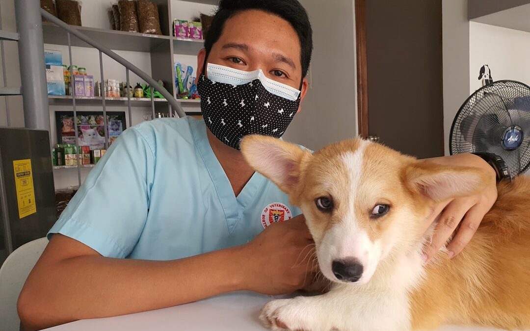 Maryland Shields Veterinarians Who Discuss Cannabis Treatments, Opening the Pet CBD Conversation